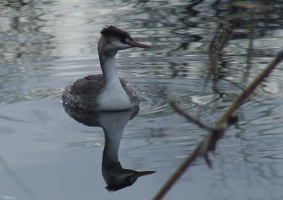 Прикрепленное изображение: 002.jpg